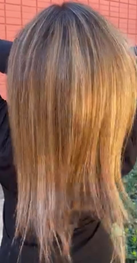 Back view of person with long, straight, honey blonde hair with subtle layers
